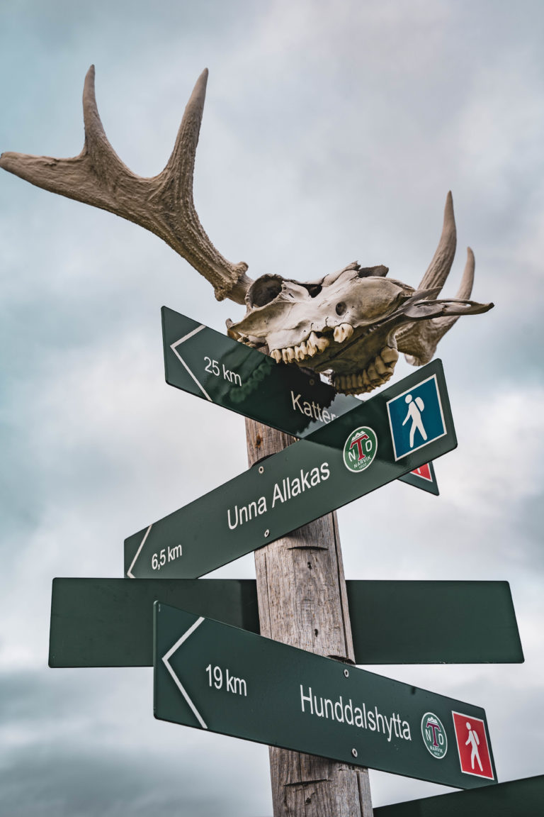 Photo: Zdeno Dvorak / nordnorge.com