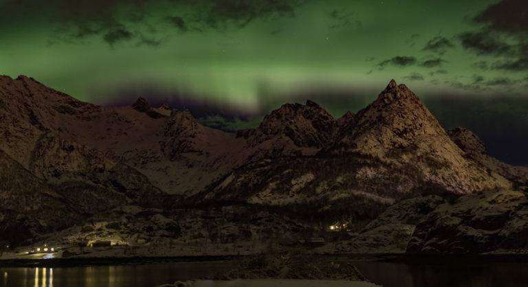 Pink lower fringe © Lofoten Aktiv