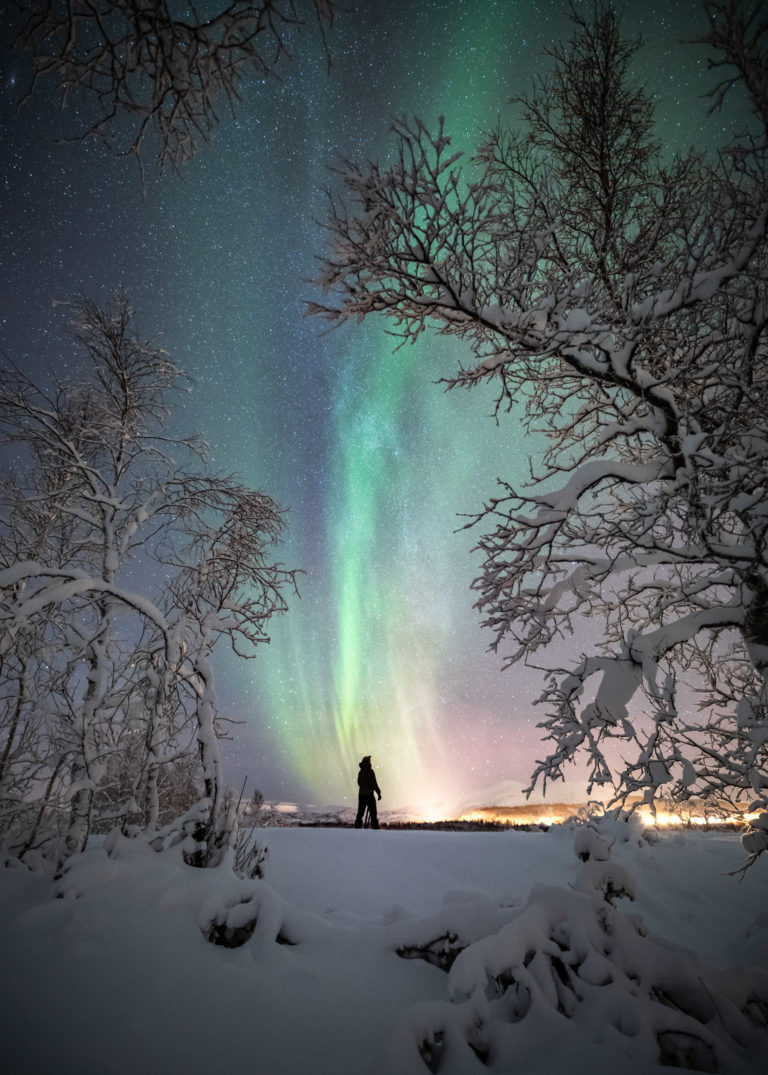 Snow-laden trees, stars...and all of a sudden the Northern Lights at Senja Island © Kristoffer Vangen