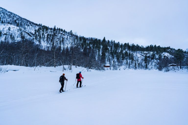 The Reisadalen Valley is a landscape of forests and mountains © Petr Pavlíček / Visit Lyngenfjord
